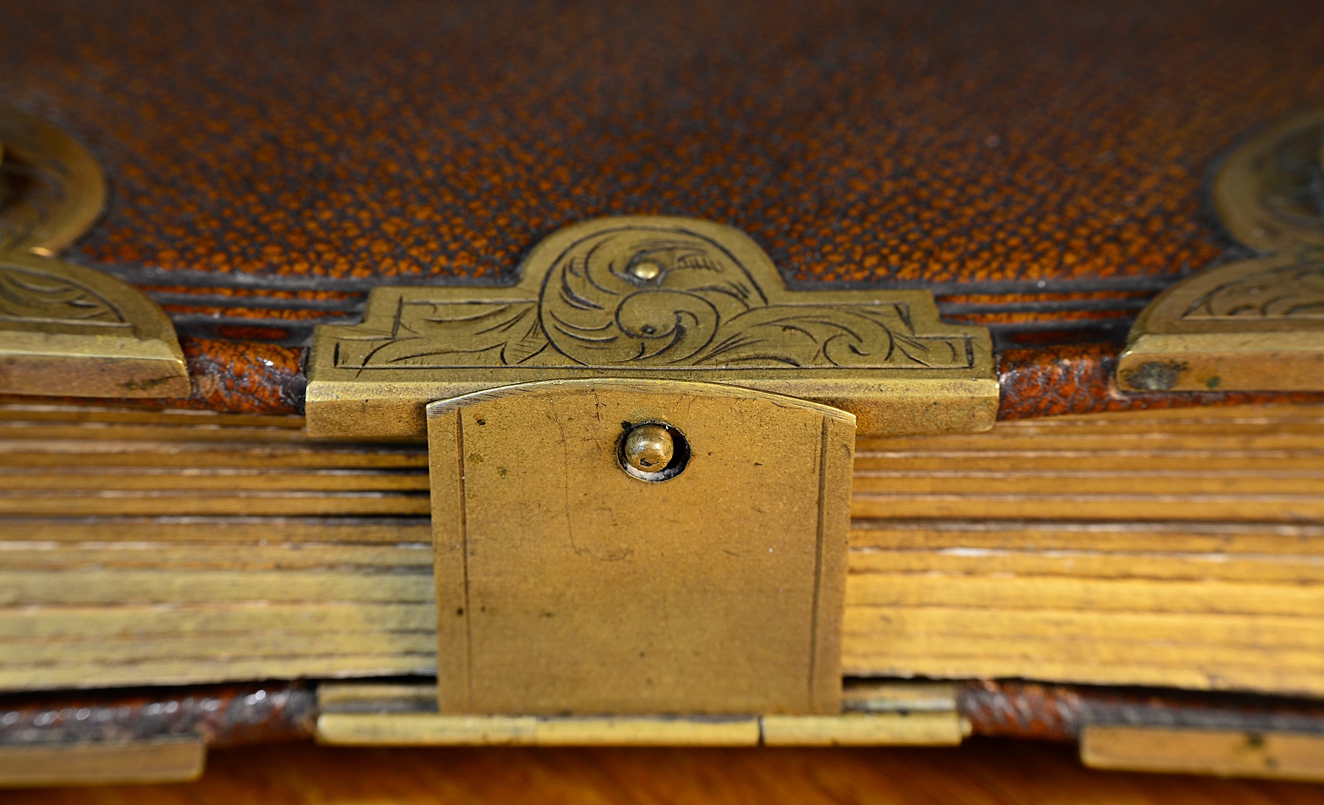 Livro Antigo - Pesquisa de Documentos Cidadania